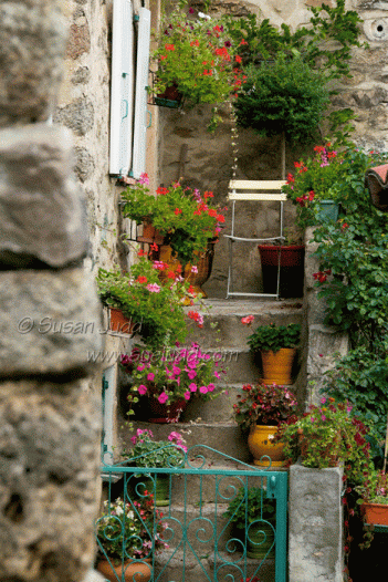 Floral steps, Corsavy, France