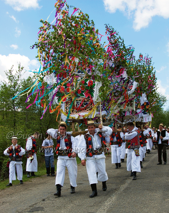 Tanjaua, traditional agricultural festival in Horteni, Maramures 