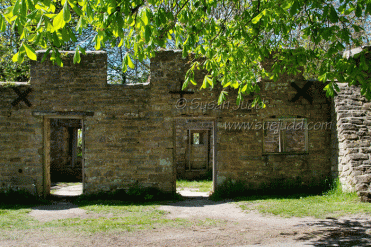 Tyneham Rectory Cottages